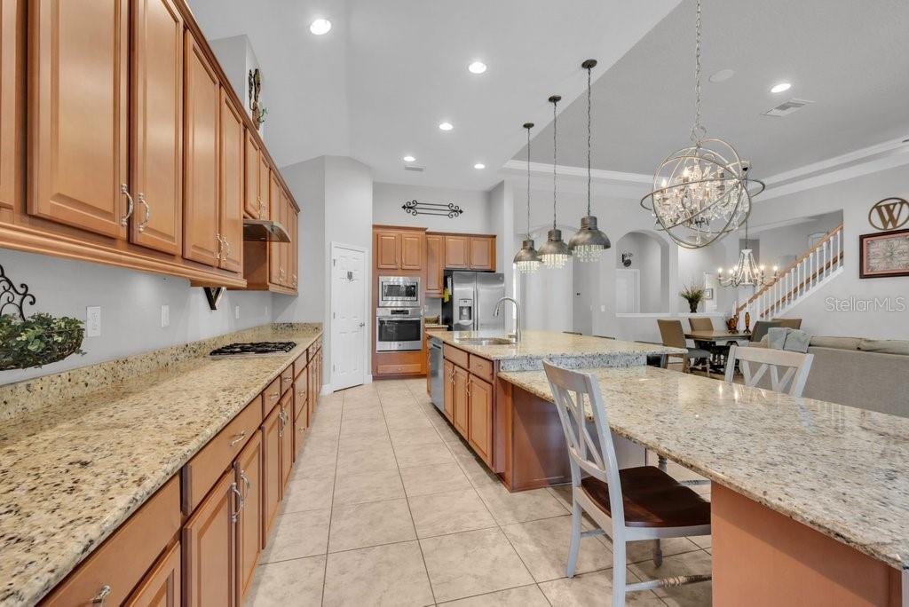 15409 Starling Crossing, Lithia, FL 33547