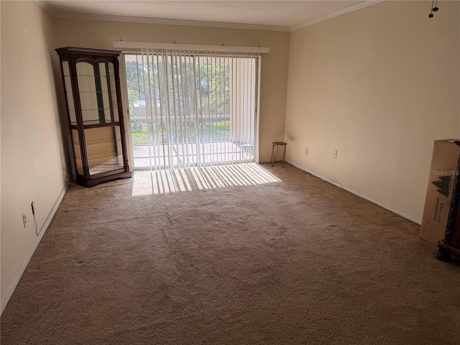 10335 Carrollwood Unit 116, Tampa, FL 33618