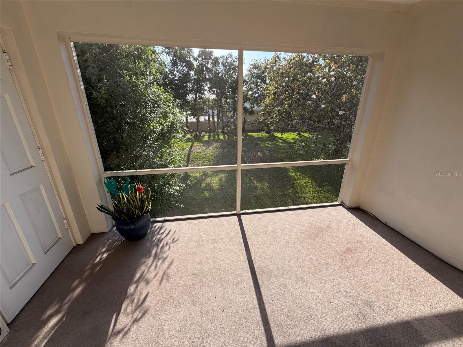 10335 Carrollwood Unit 116, Tampa, FL 33618