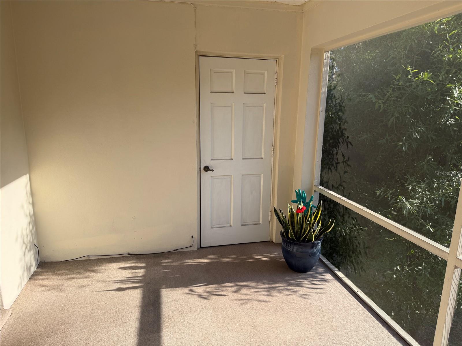 10335 Carrollwood Unit 116, Tampa, FL 33618