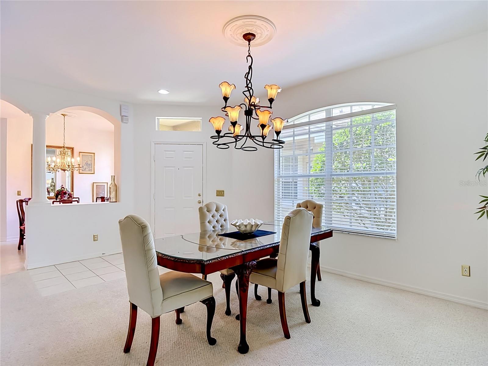 19180 Lake Audubon, Tampa, FL 33647