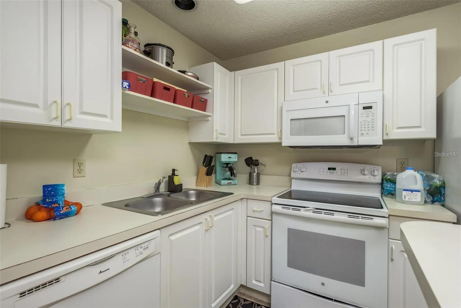 4107 Chatham Oak Unit 313, Tampa, FL 33624