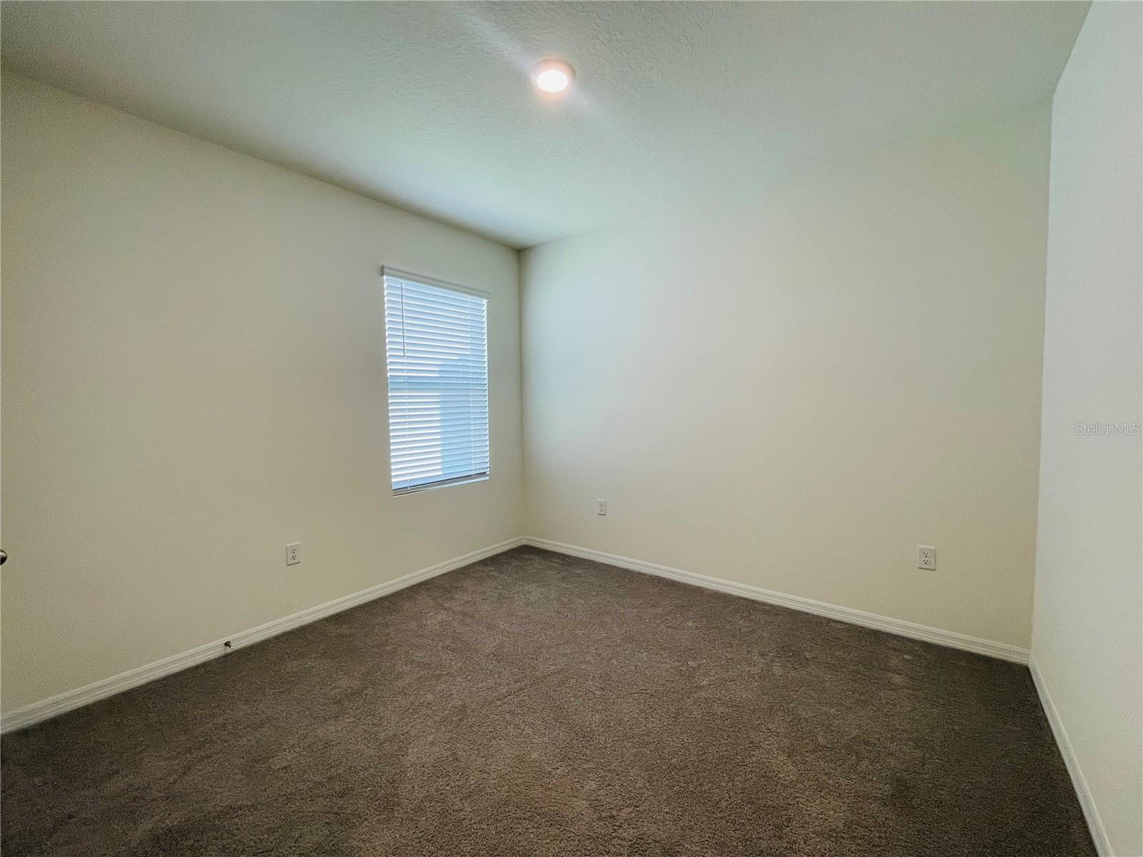17043 Oval Rum, Wimauma, FL 33598