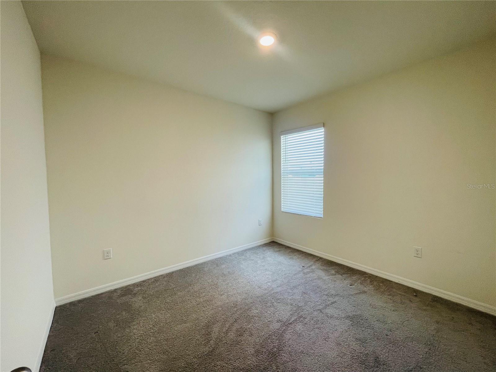17043 Oval Rum, Wimauma, FL 33598