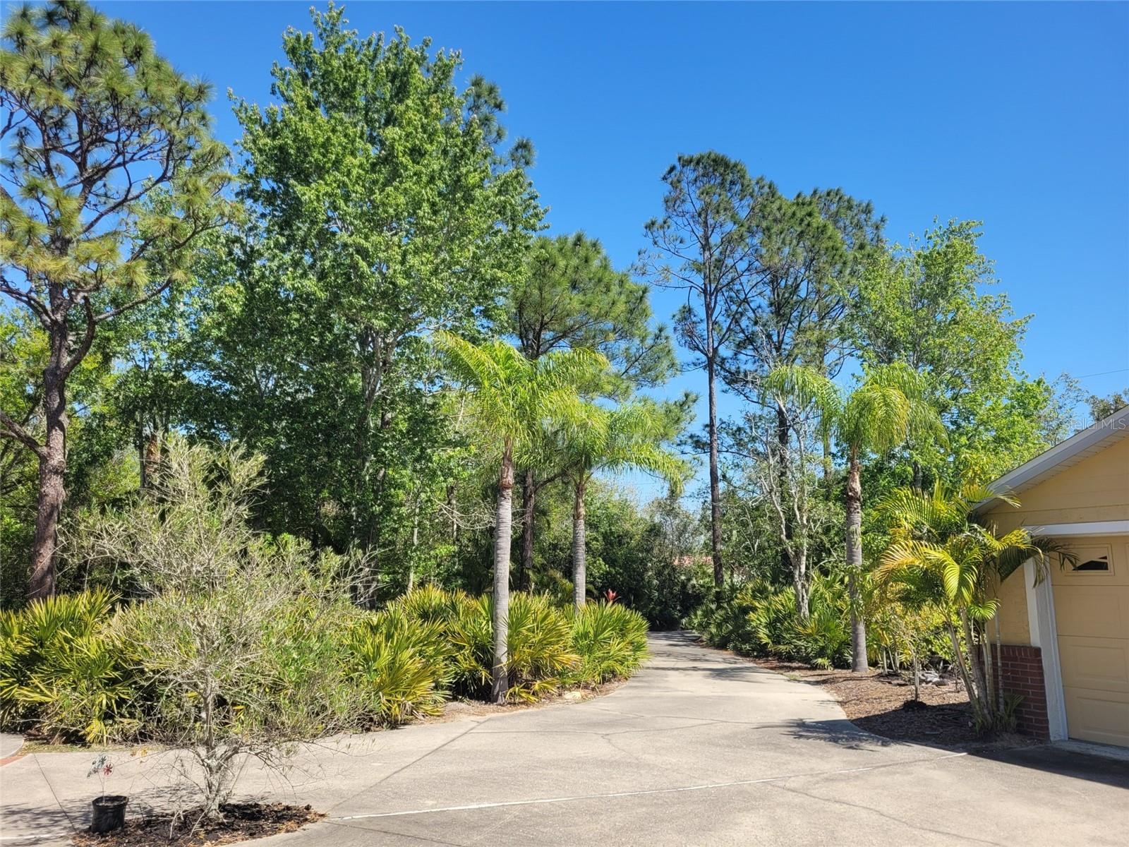 3150 Appaloosa, Kissimmee, FL 34746