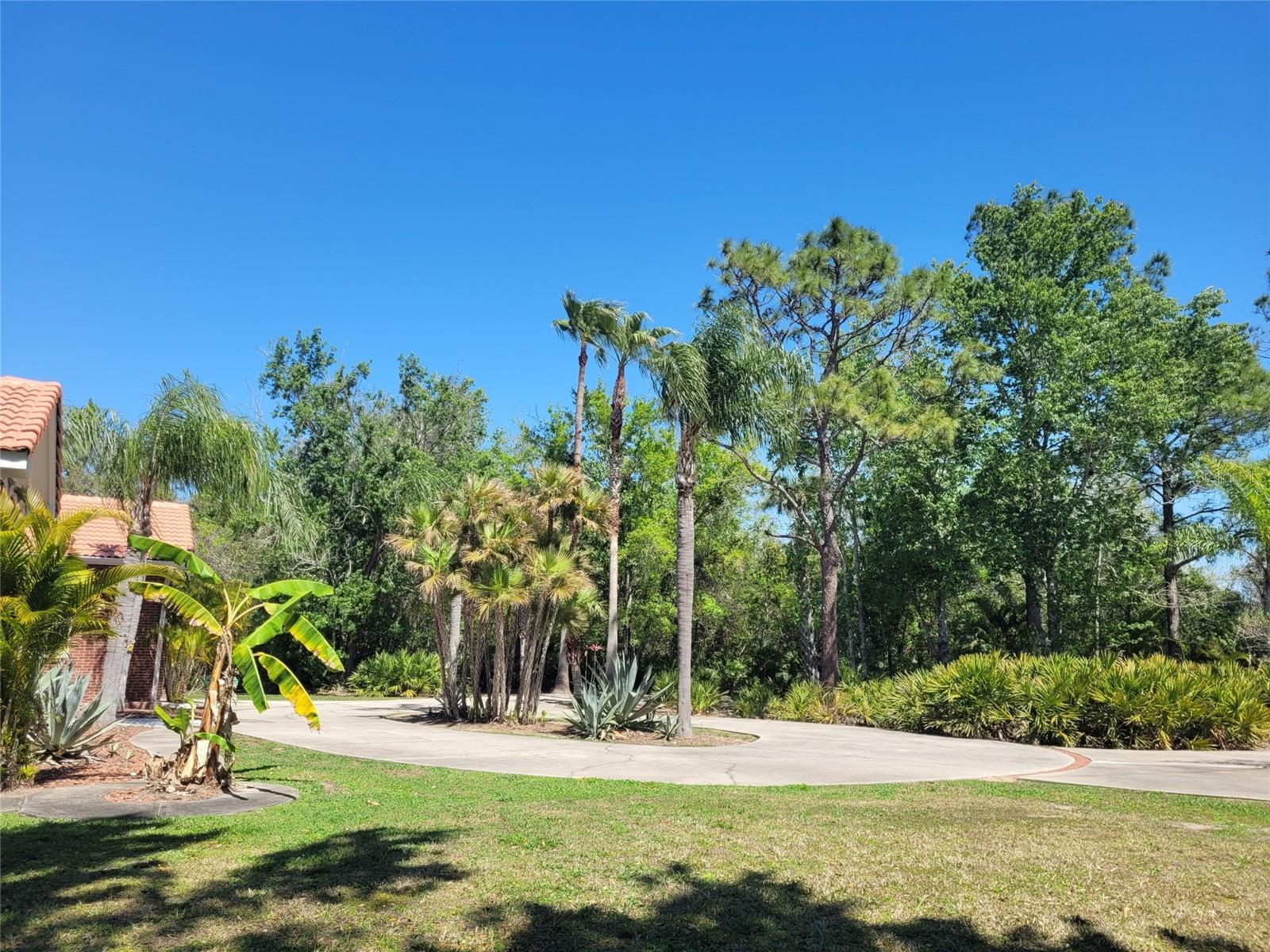 3150 Appaloosa, Kissimmee, FL 34746