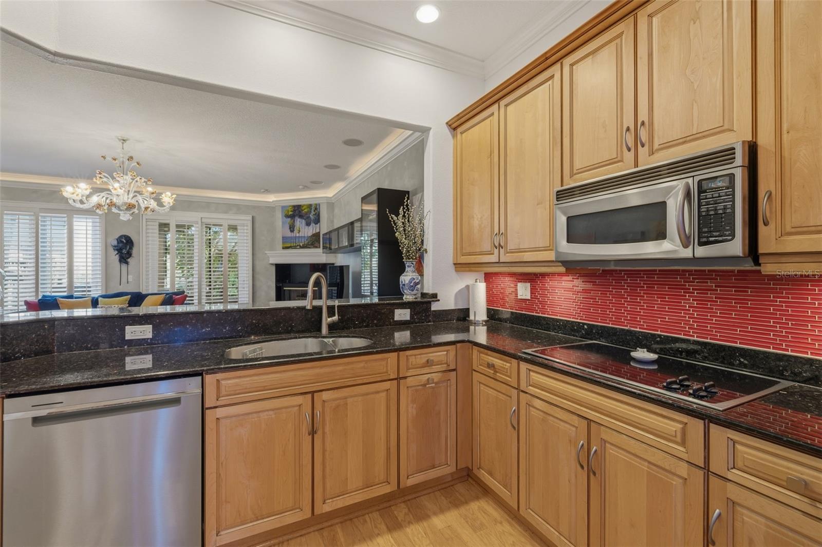 615 Saxony, St Petersburg, FL 33716
