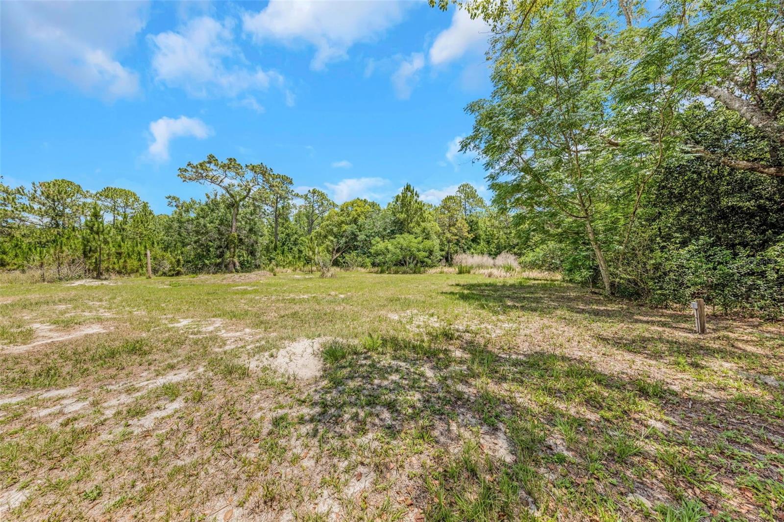9224 Elza, New Port Richey, FL 34654