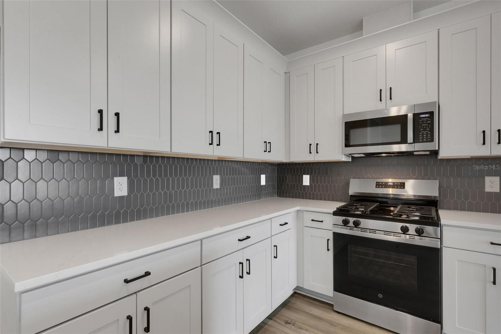 8717 Canard Cv, Palmetto, FL 34221