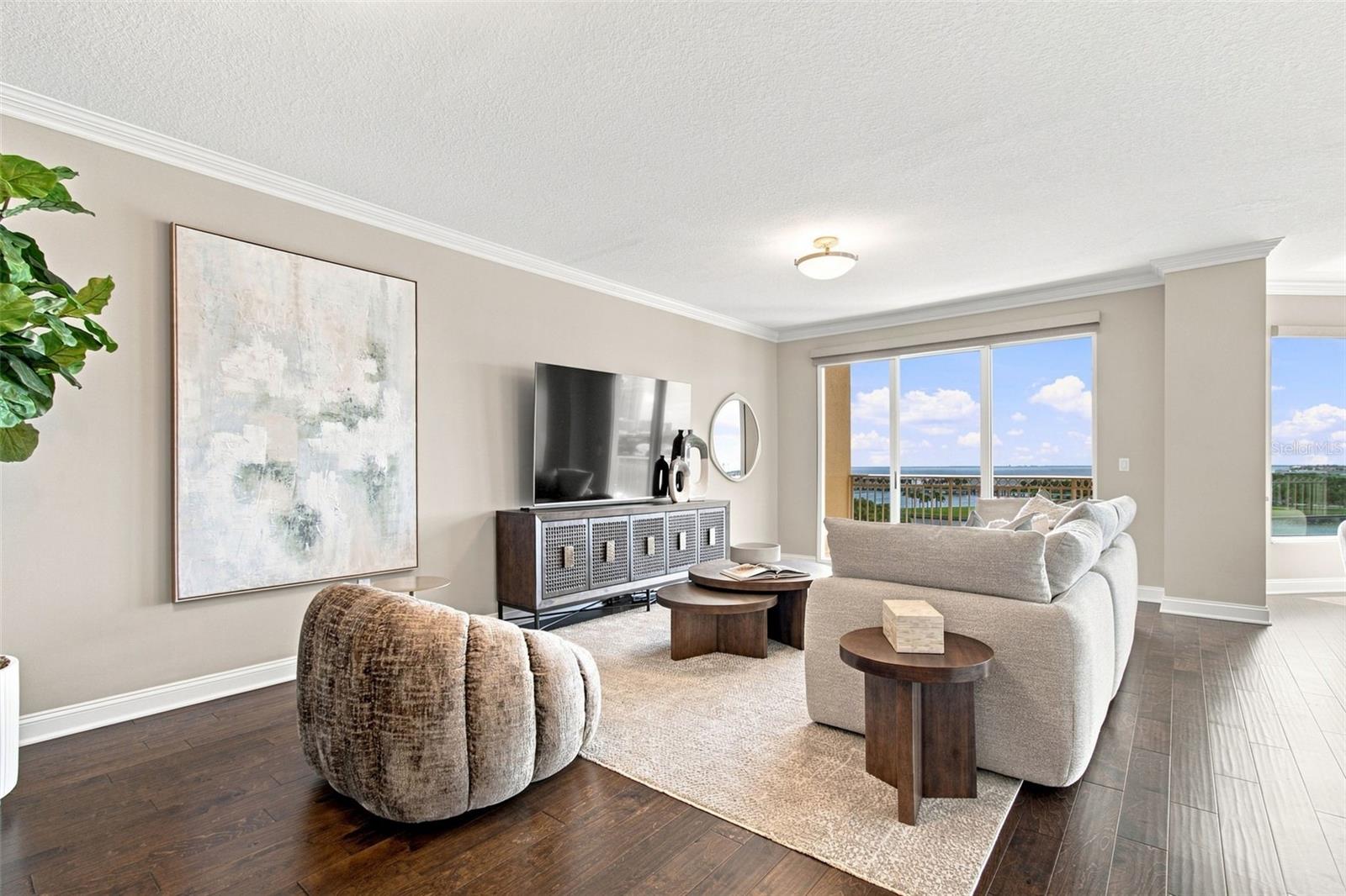 555 5th Unit 711, St Petersburg, FL 33701