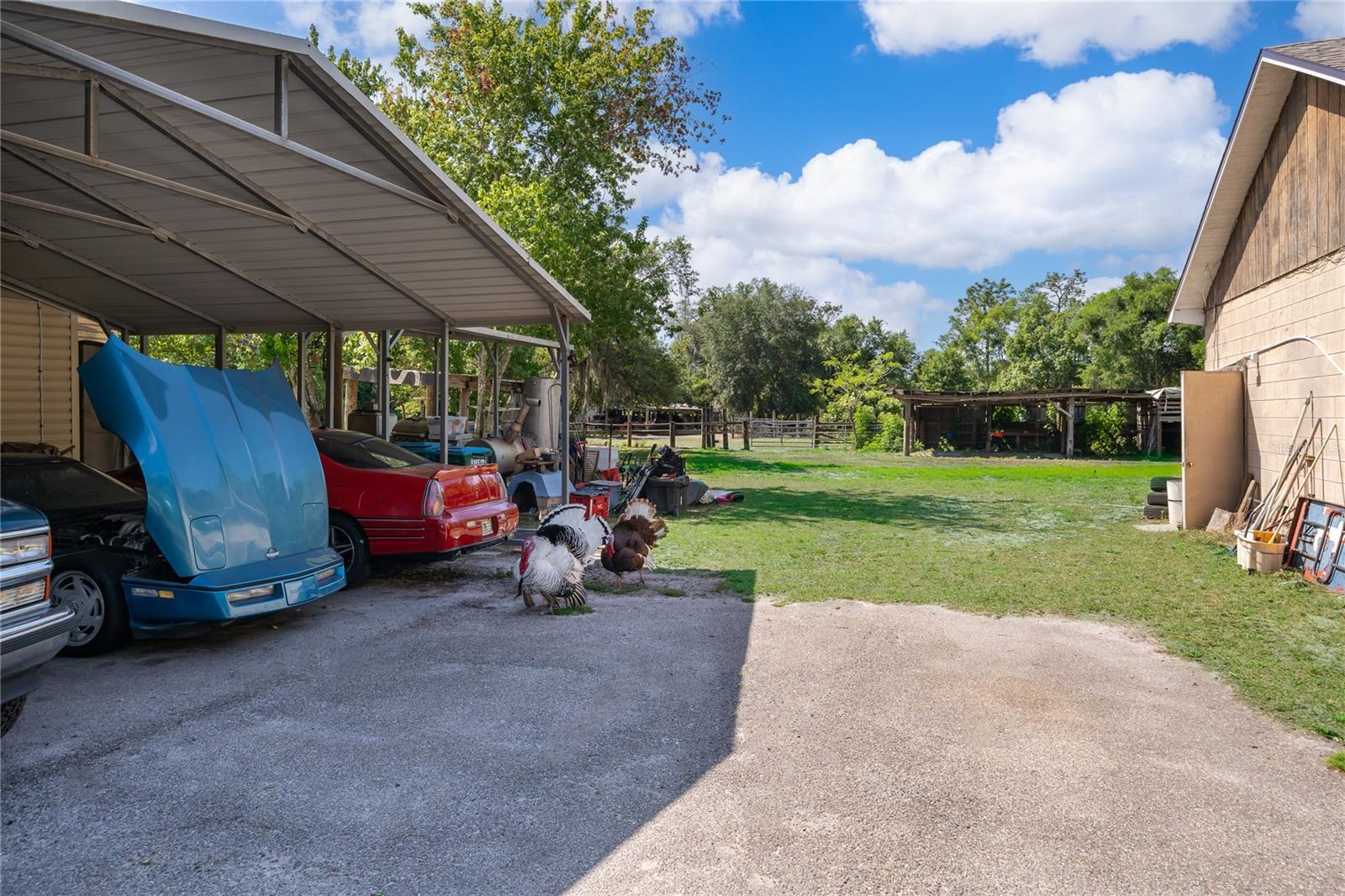 1281 Natures, Winter Springs, FL 32708
