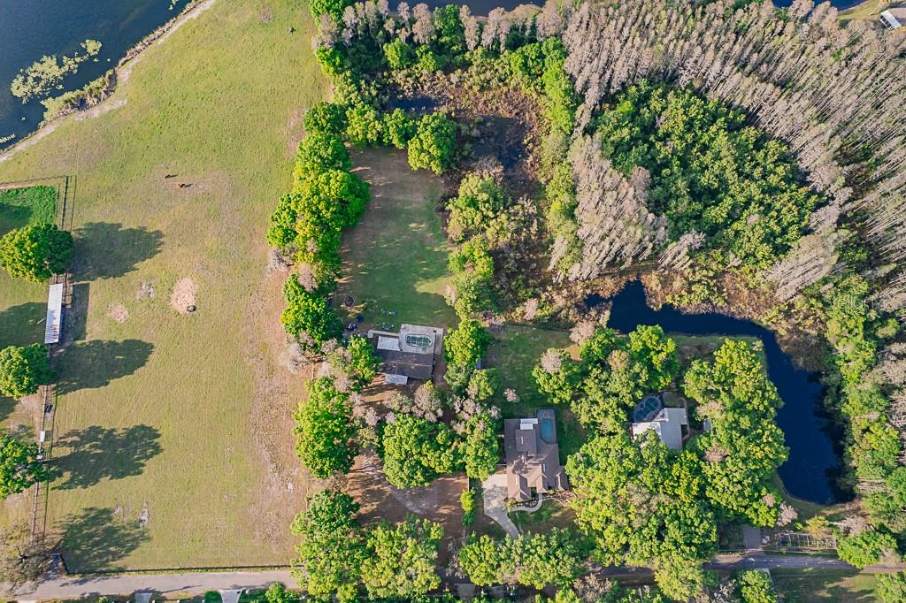 13815 Plainview, Odessa, FL 33556