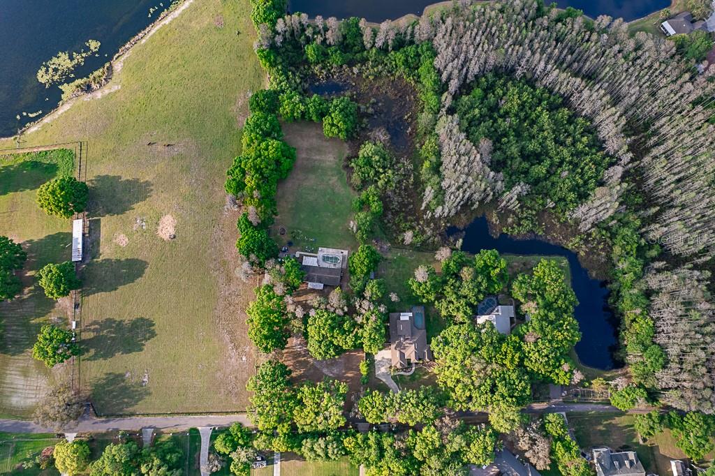 13815 Plainview, Odessa, FL 33556