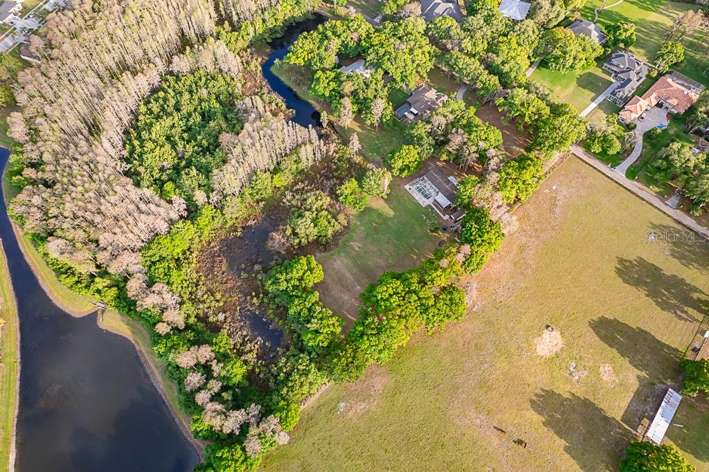 13815 Plainview, Odessa, FL 33556