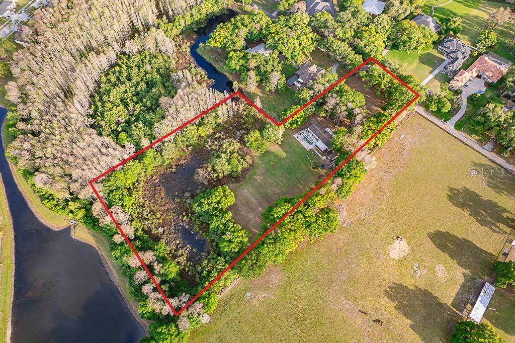 13815 Plainview, Odessa, FL 33556