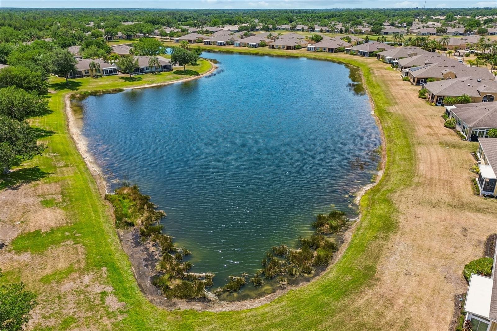 2011 Sifield Greens Way Unit 71, Sun City Center, FL 33573