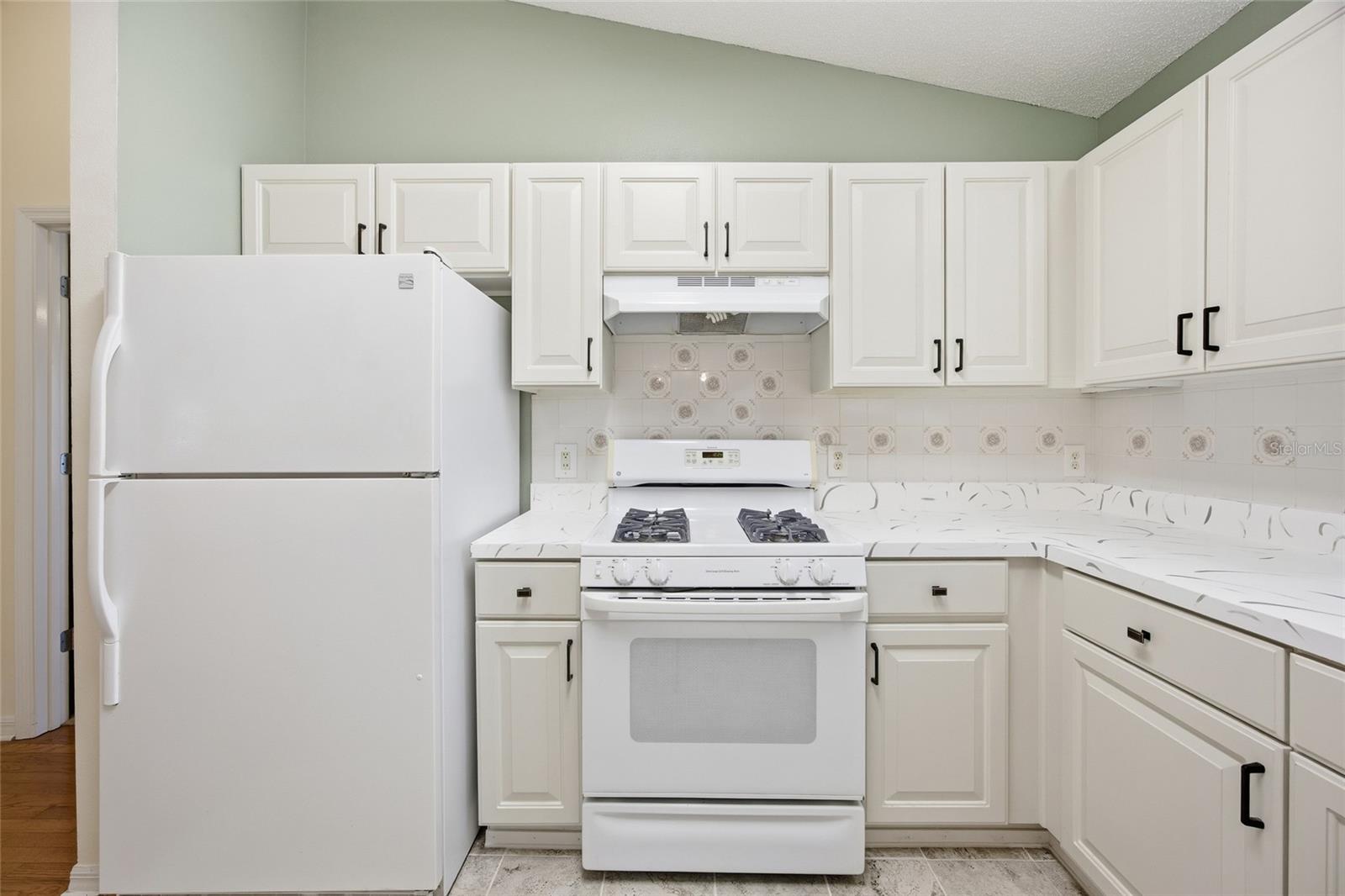 17705 93rd Hawthorne, The Villages, FL 32162