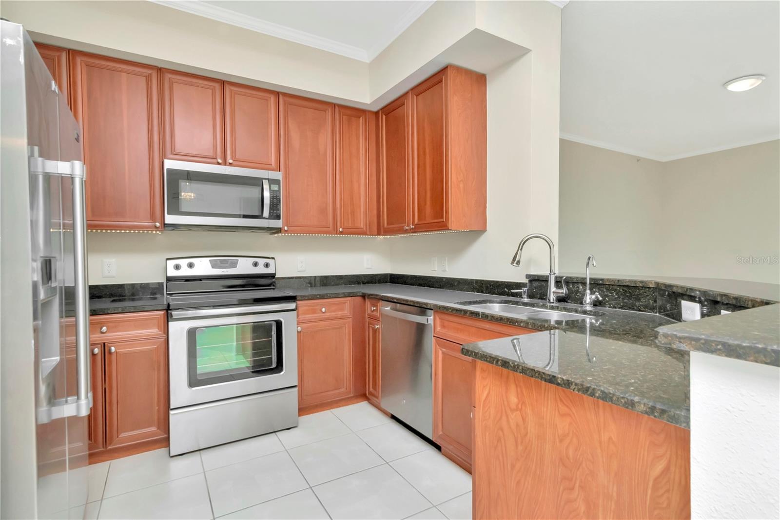 4516 Seagull Unit 916, New Port Richey, FL 34652