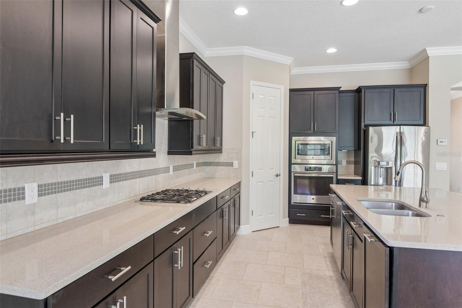 8355 Swiss Chard, Land O Lakes, FL 34637
