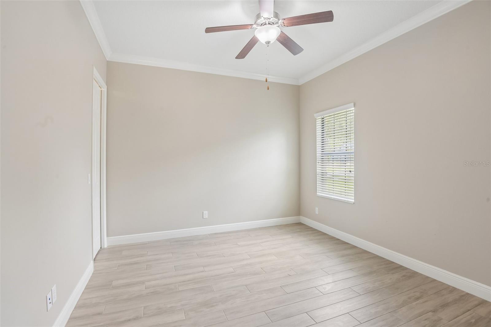 8355 Swiss Chard, Land O Lakes, FL 34637
