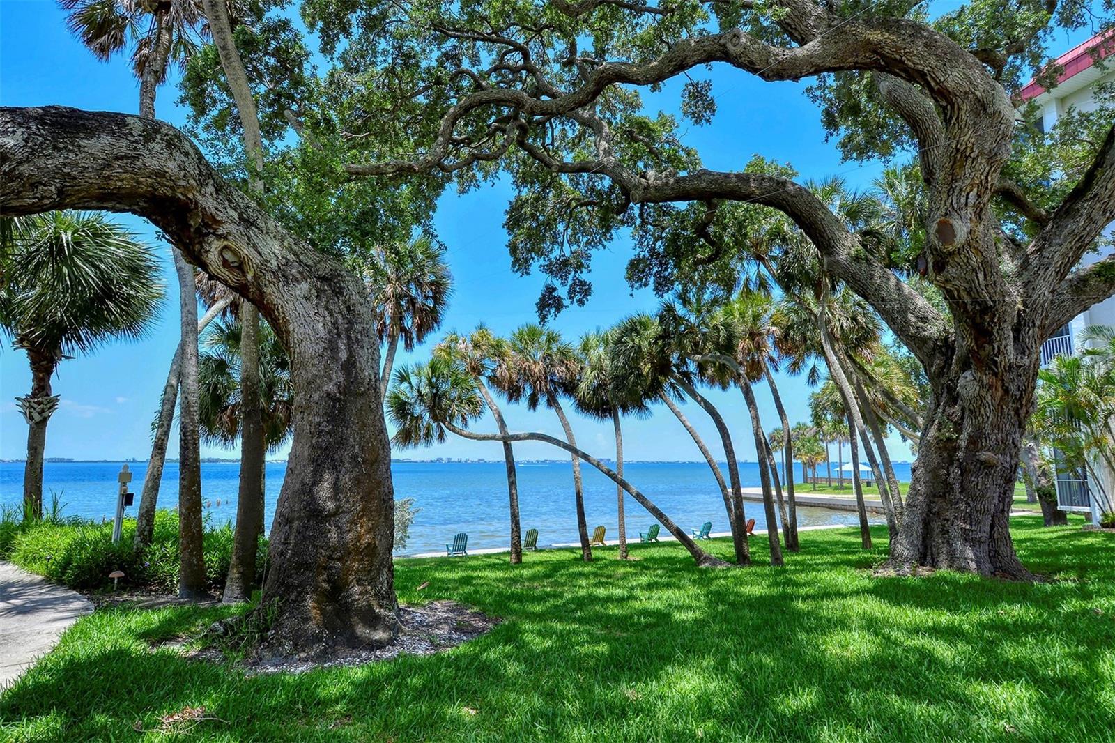 1100 Imperial Unit 108, Sarasota, FL 34236