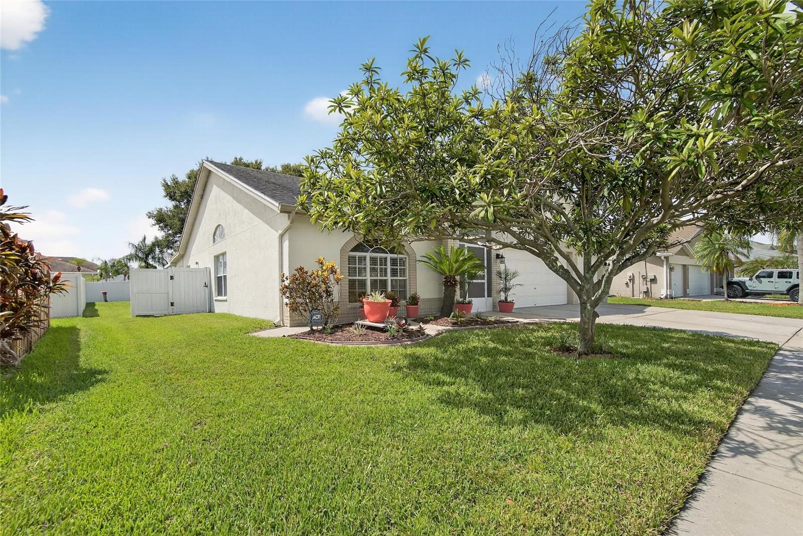 13029 Prestwick, Riverview, FL 33579