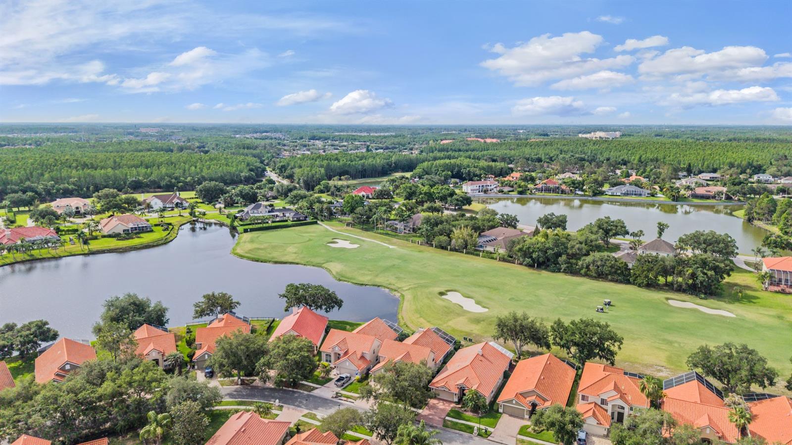 18911 Avenue Biarritz, Lutz, FL 33558