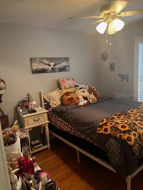 2717 Wilder Park, Plant City, FL 33566