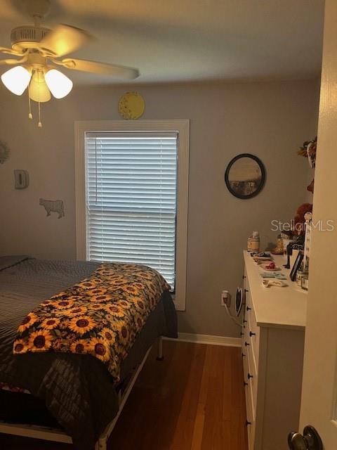 2717 Wilder Park, Plant City, FL 33566