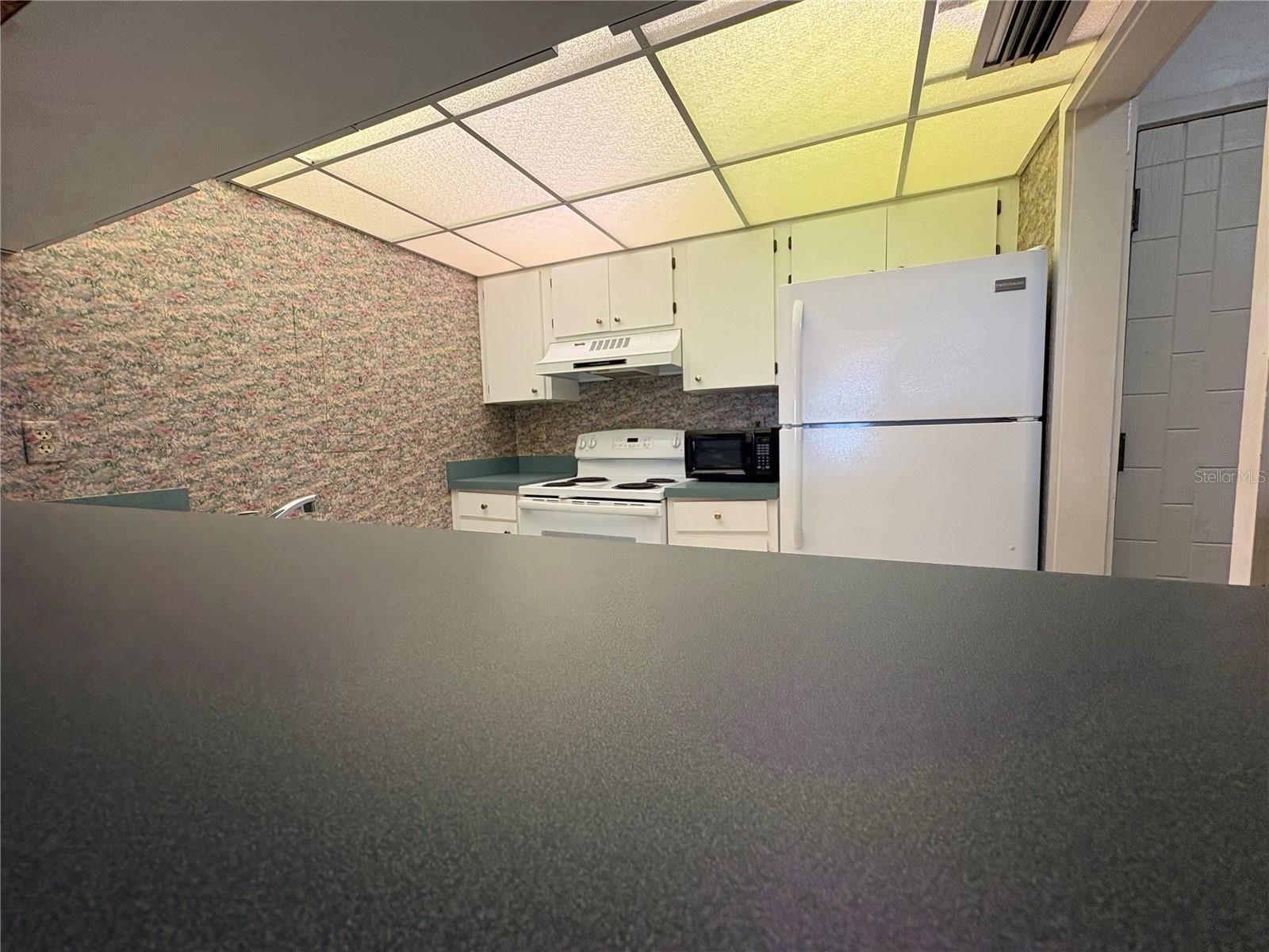 167 Palm View Unit 3487, Haines City, FL 33844