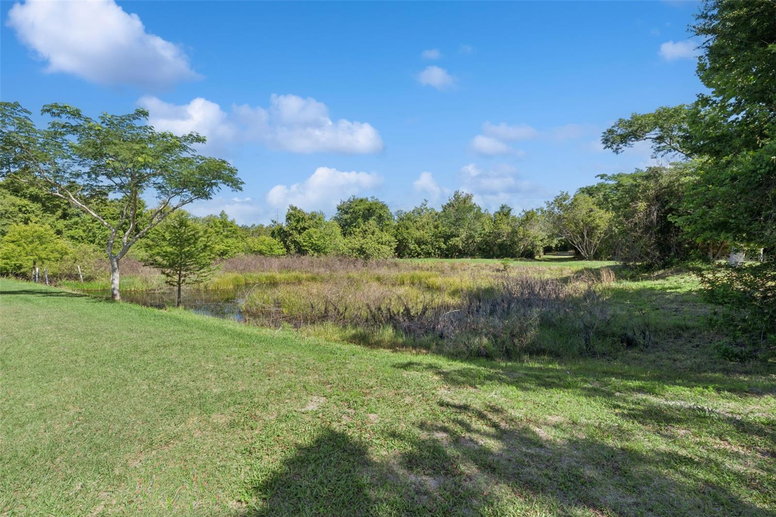 1235 Hackney, St Cloud, FL 34771