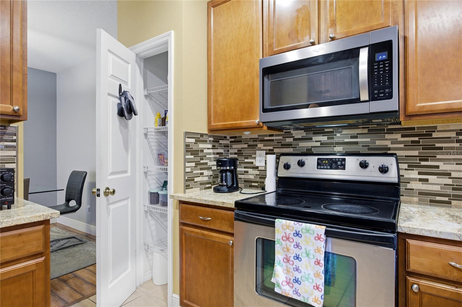 1033 Blackwater, Wesley Chapel, FL 33543