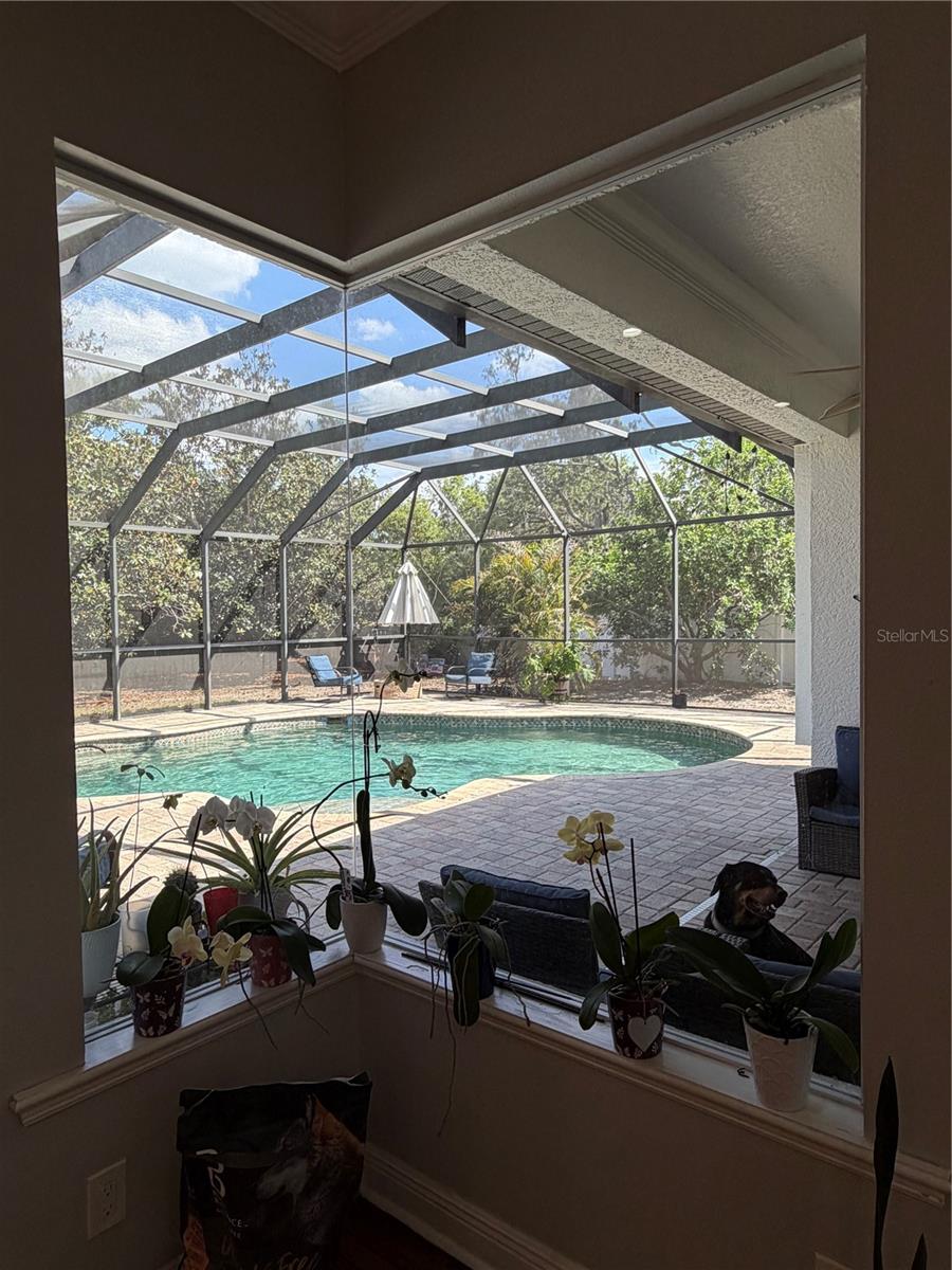 8137 Golden Bear, Port Richey, FL 34668