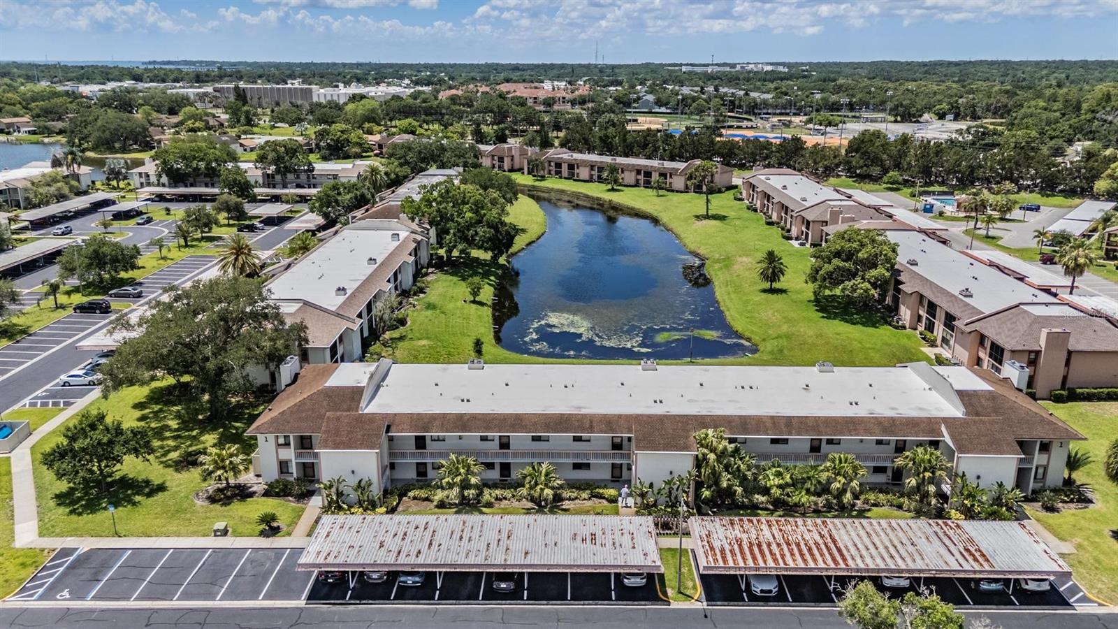 107 Lakeview Unit 7, Oldsmar, FL 34677