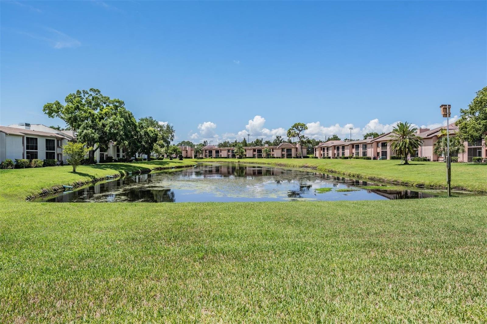 107 Lakeview Unit 7, Oldsmar, FL 34677