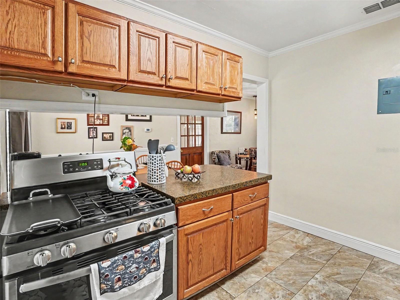 315 11th, Mount Dora, FL 32757