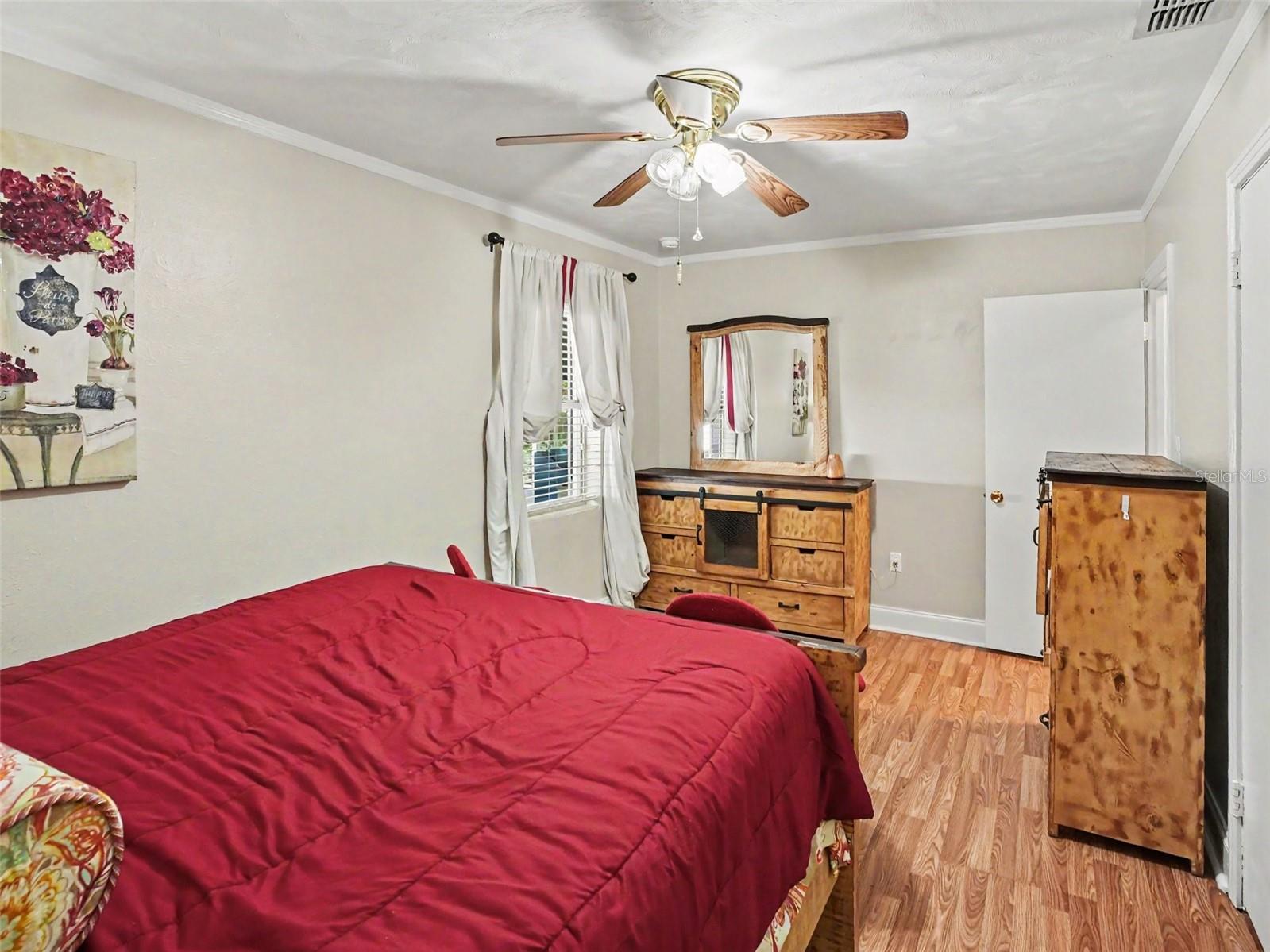 315 11th, Mount Dora, FL 32757