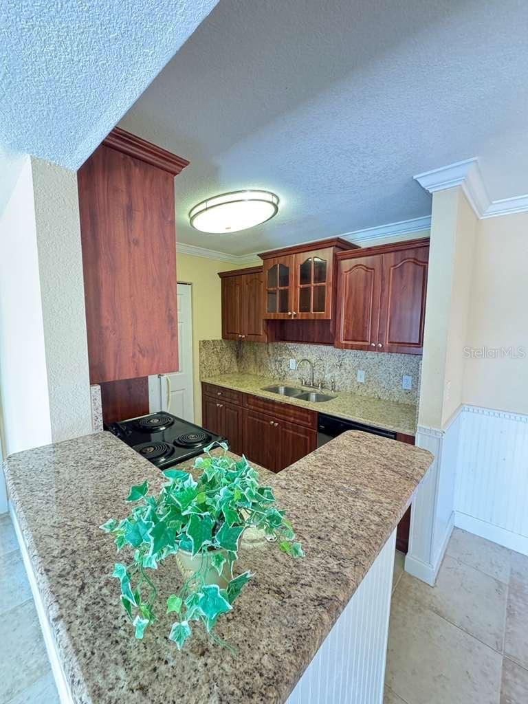 455 Alt 19 Unit 12, Palm Harbor, FL 34683