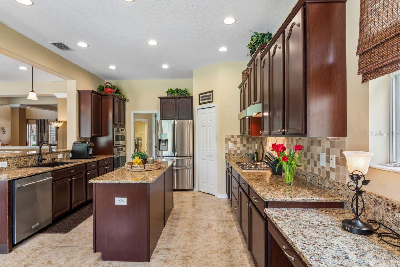 8719 Creedmoor, New Port Richey, FL 34654