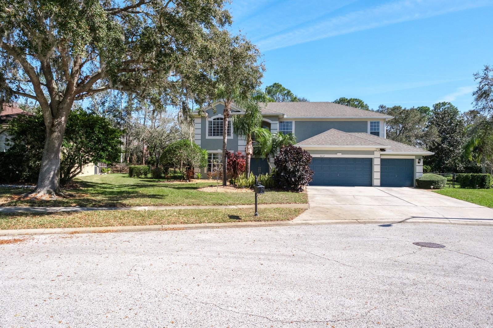4037 Auston, Palm Harbor, FL 34685