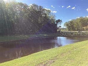 17522 Nectar Flume, Land O Lakes, FL 34638