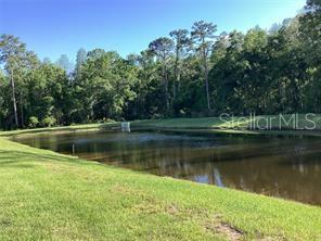 17522 Nectar Flume, Land O Lakes, FL 34638