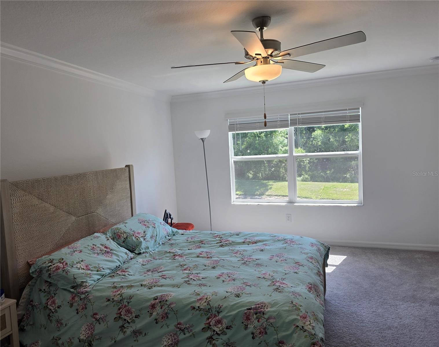 17522 Nectar Flume, Land O Lakes, FL 34638