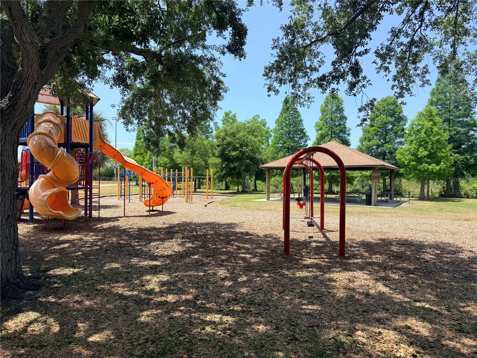 2034 Montego, Oldsmar, FL 34677