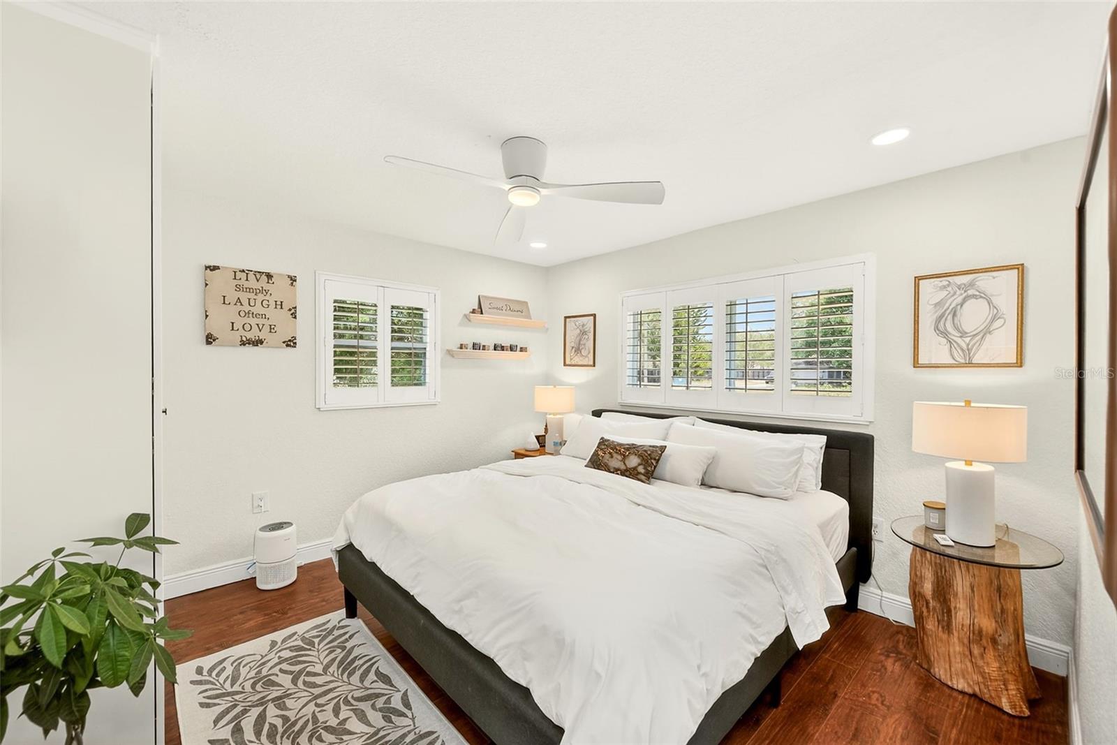 175 Riviere, Palm Harbor, FL 34683
