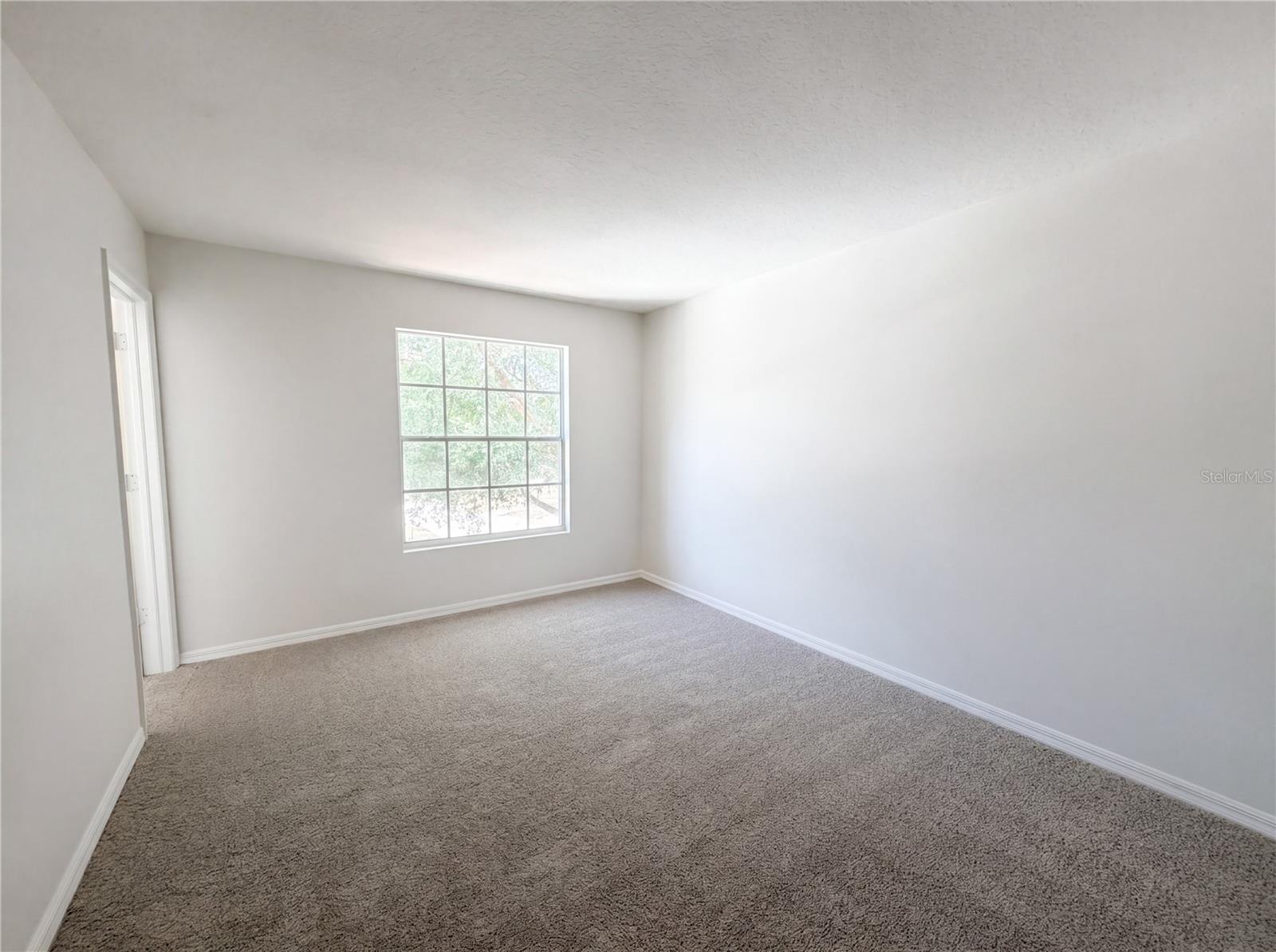 8116 River Mont, Temple Terrace, FL 33637