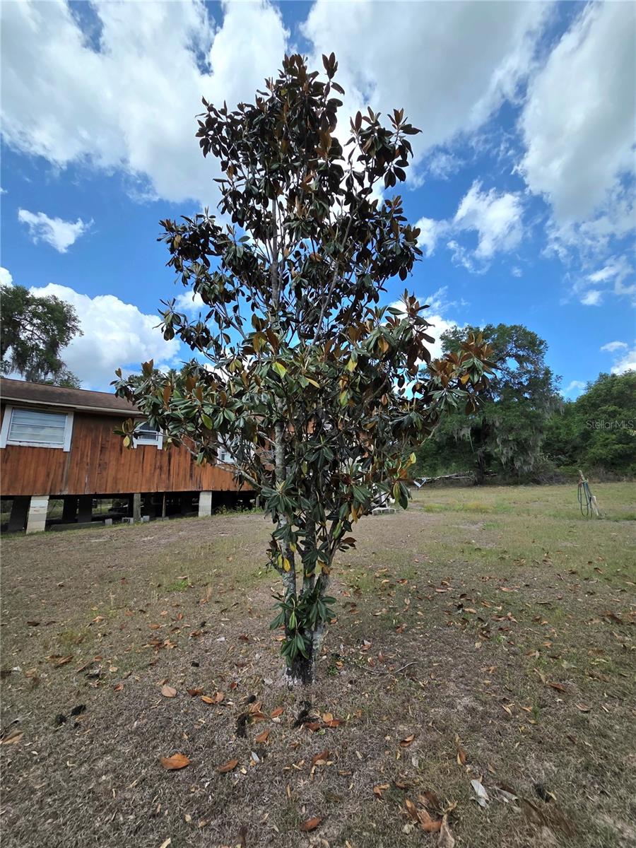 27440 Winchester, Brooksville, FL 34602