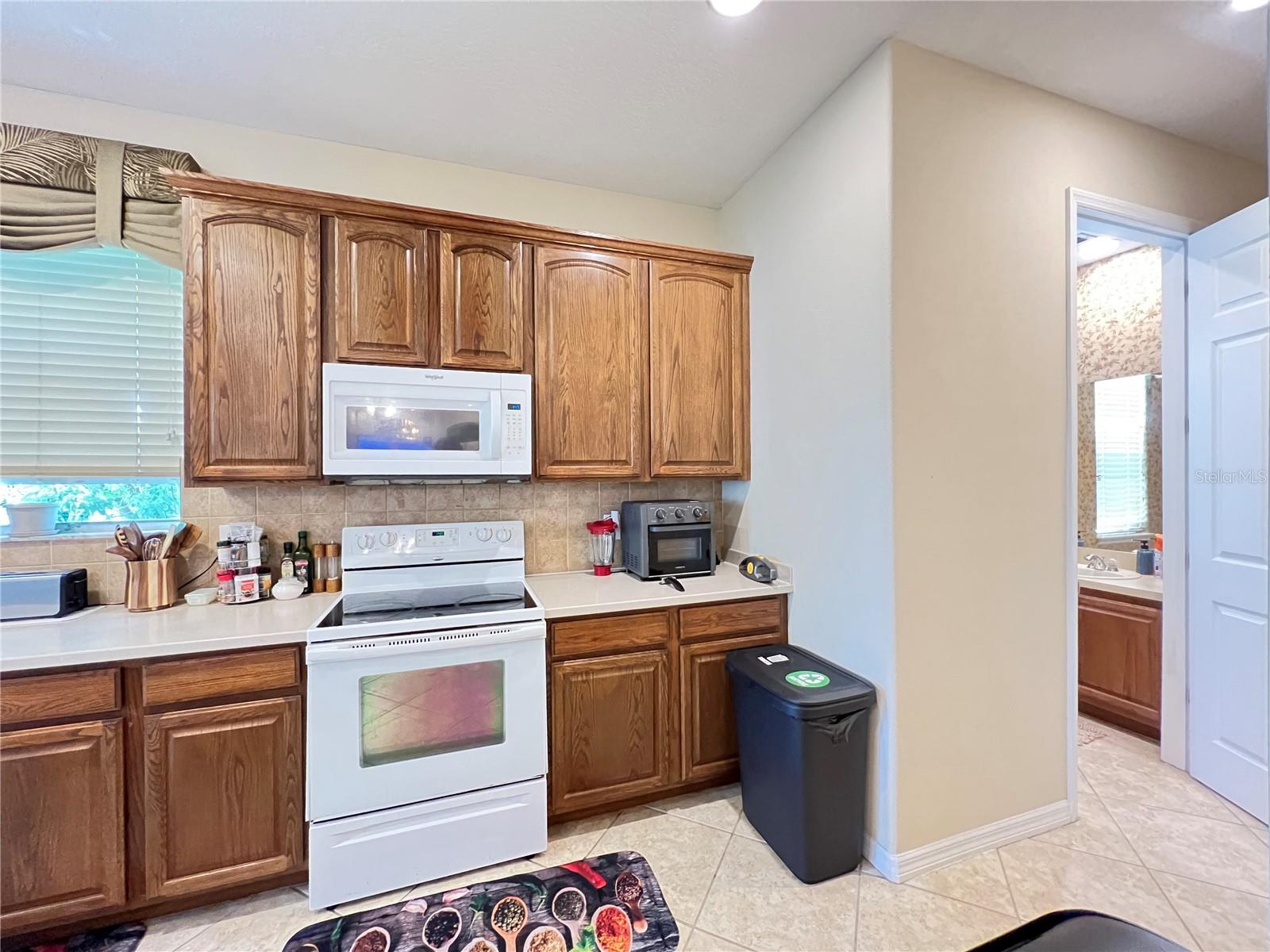 1607 Tail Feather, Kissimmee, FL 34746