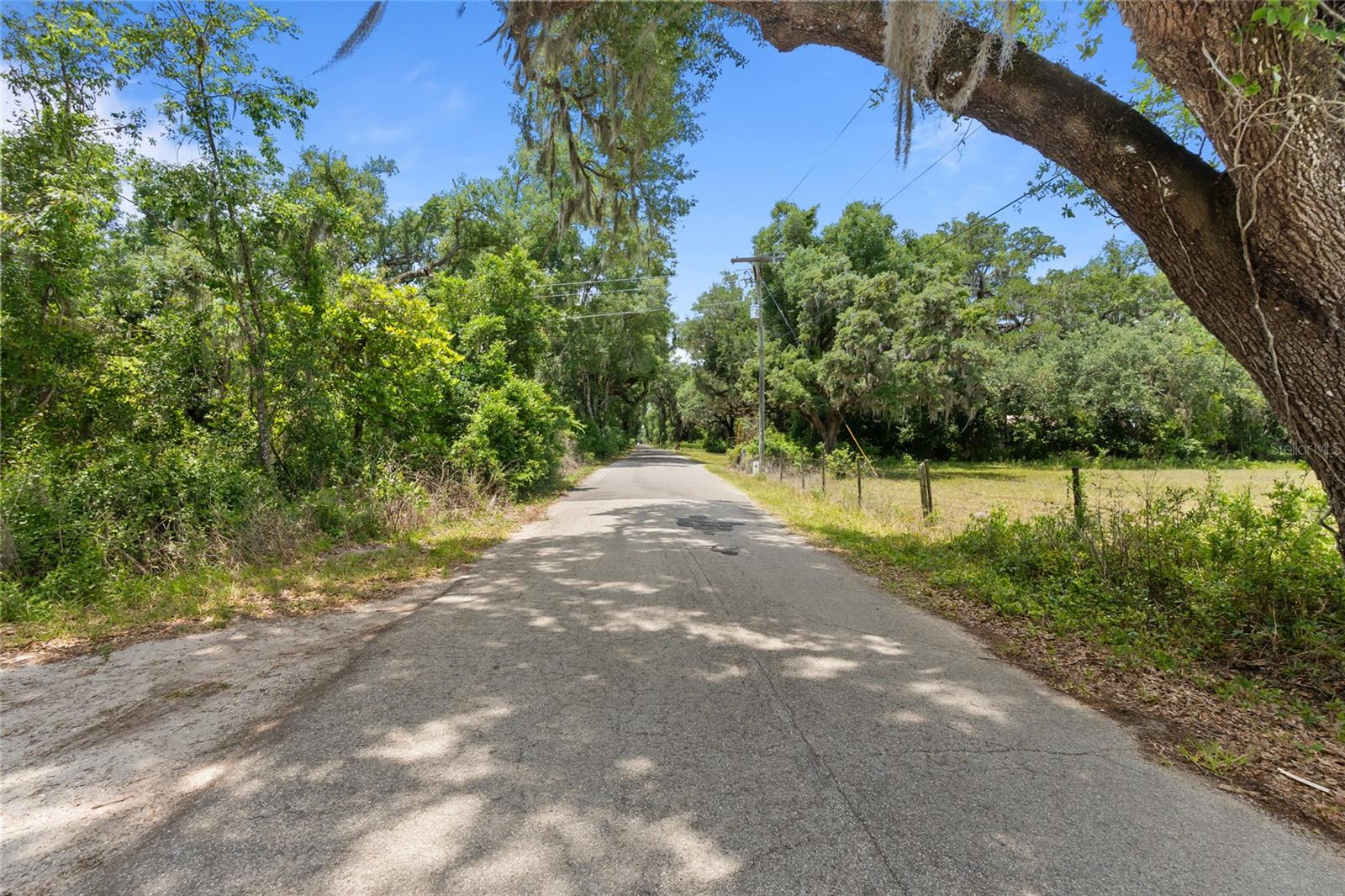 1153 Cr 722, Webster, FL 33597