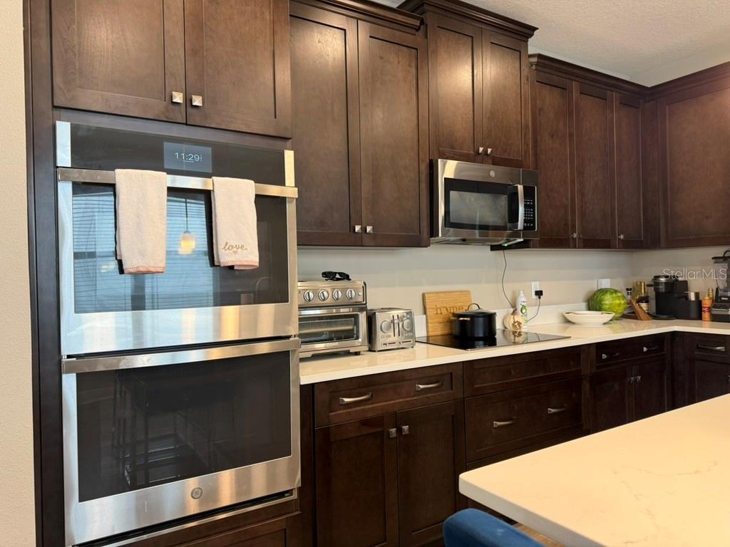 7749 Bronze Oak, Wesley Chapel, FL 33545